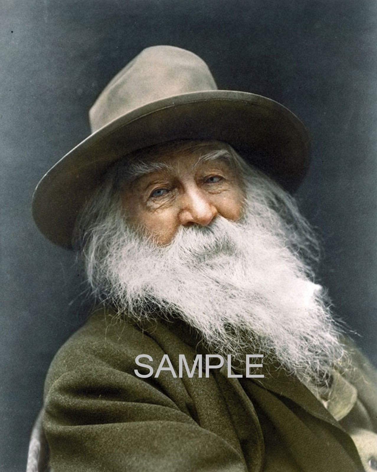 1887 American Poet WALT WHITMAN Photo (161-U) 1887 American Poet WALT WHITMAN Photo (161-U)