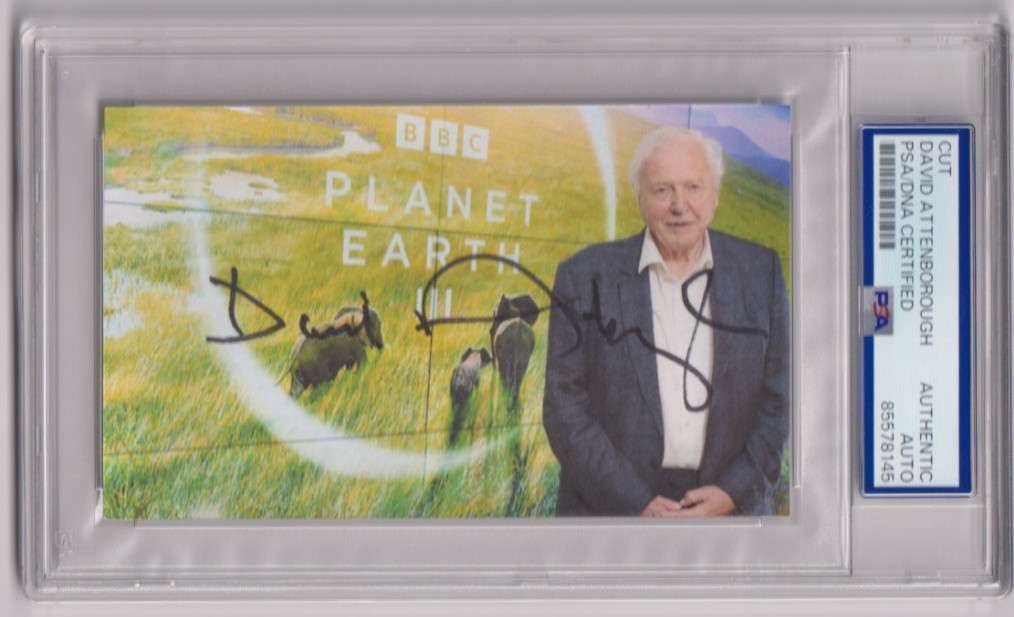 Sir DAVID ATTENBOROUGH Signed AUTO Planet Earth Art Index Card PSA DNA Certified Sir DAVID ATTENBOROUGH Signed AUTO Planet Earth Art Index Card PSA DNA Certified