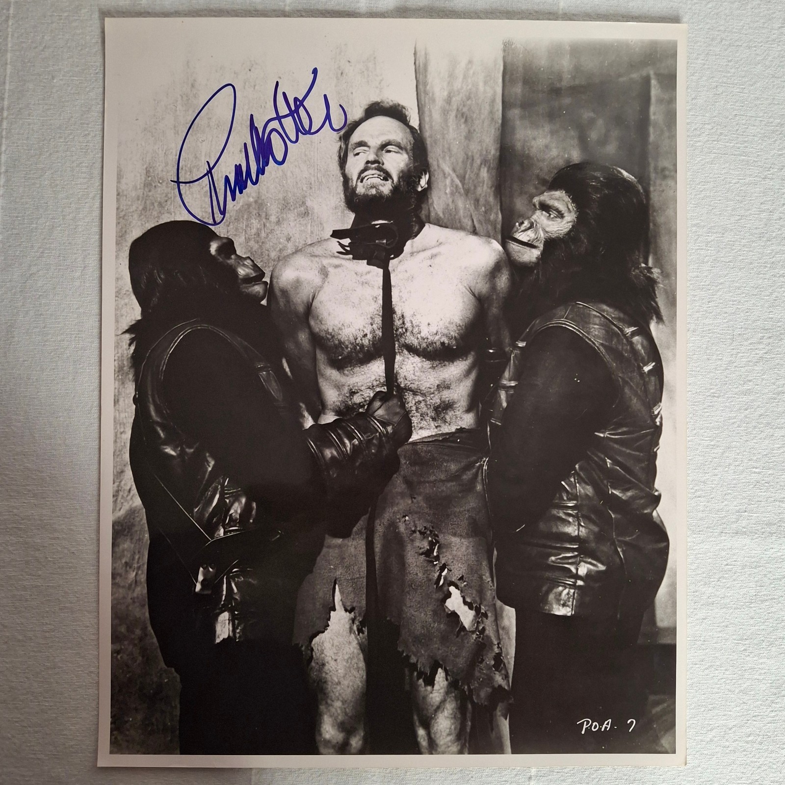 Rare PLANET OF THE APES Autograph CHARLTON HESTON Signed 11X14 B&W Photo w/ COA