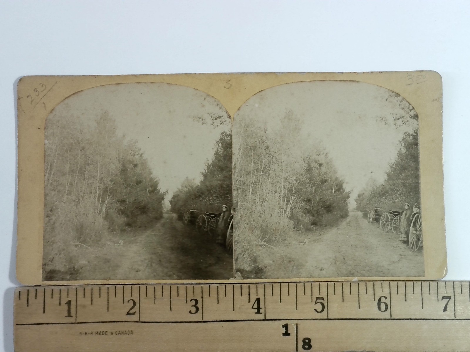Josie Langmaid Murder Scene Stereoview C.M. Couch Concord NH 1875 True Crime Josie Langmaid Murder Scene Stereoview C.M. Couch Concord NH 1875 True Crime