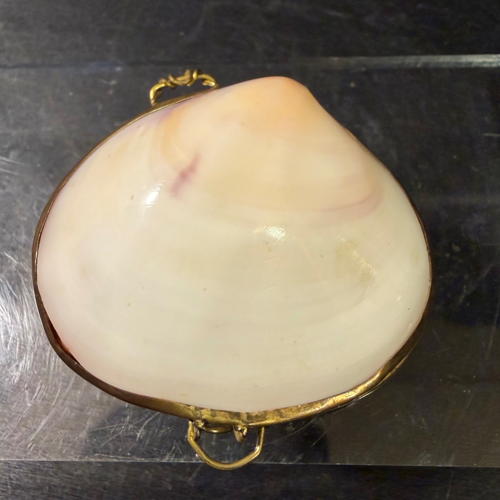 Vintage Natural Clam Shell Coin Purse Trinket Box Gold Tone Hinge 3 Inch Vintage Natural Clam Shell Coin Purse Trinket Box Gold Tone Hinge 3 Inch
