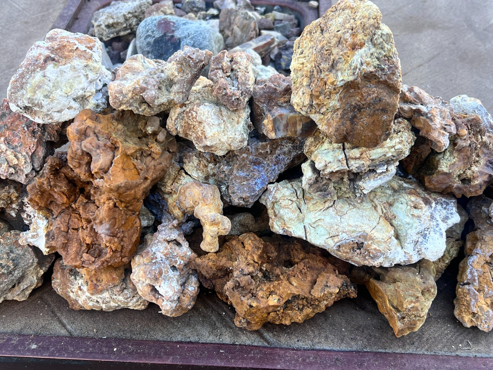 WoW petrified wood $4 For 2 pounds rough specimens  opalized agatized bulk