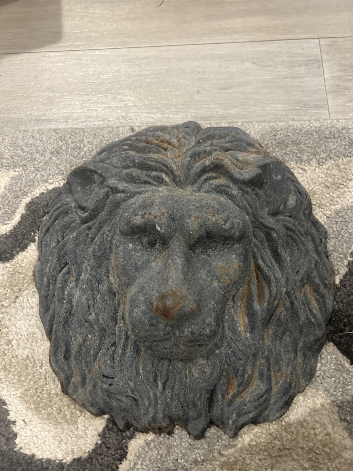 Vintage Cast Iron Lion Face 12x12