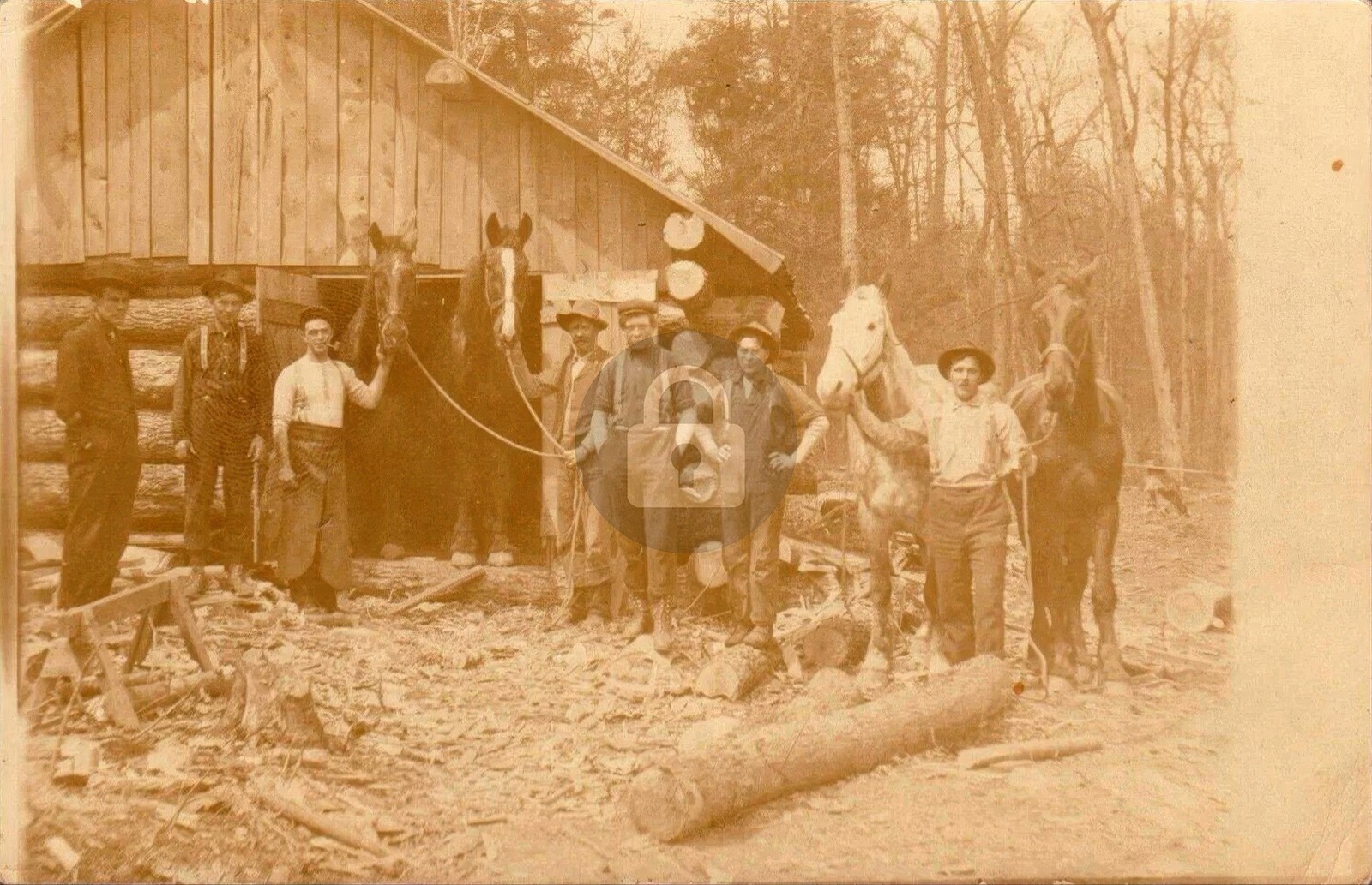 Goodman WI Wisconsin 1909 Logging Camp Lumberjacks RPPC Photo Postcard COPY Goodman WI Wisconsin 1909 Logging Camp Lumberjacks RPPC Photo Postcard COPY