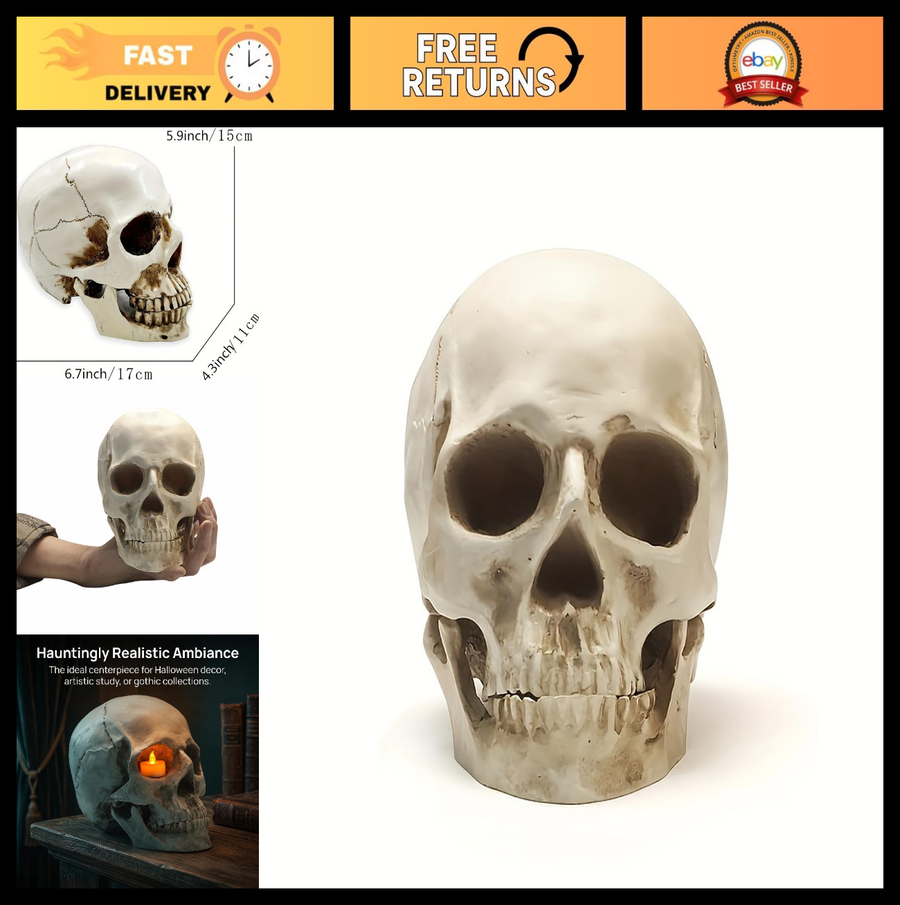 Realistic Human Skull Model - 1:1 Anatomical Skeleton for Home Decor & Halloween Realistic Human Skull Model - 1:1 Anatomical Skeleton for Home Decor & Halloween