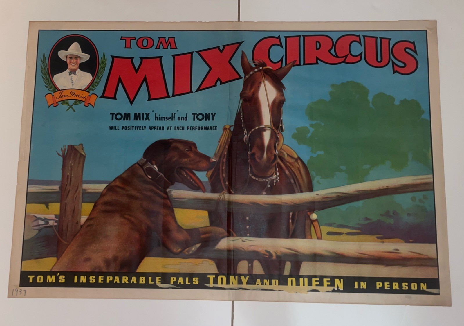 Original 1937 Tom Mix Circus Poster Featuring Pals Tony and Queen 28"x42" Original 1937 Tom Mix Circus Poster Featuring Pals Tony and Queen 28"x42"