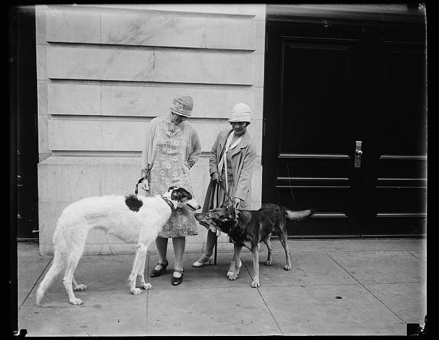 Photo:Two Women Dogs Street Scene 1920s Black and White Photo Print Photo:Two Women Dogs Street Scene 1920s Black and White Photo Print