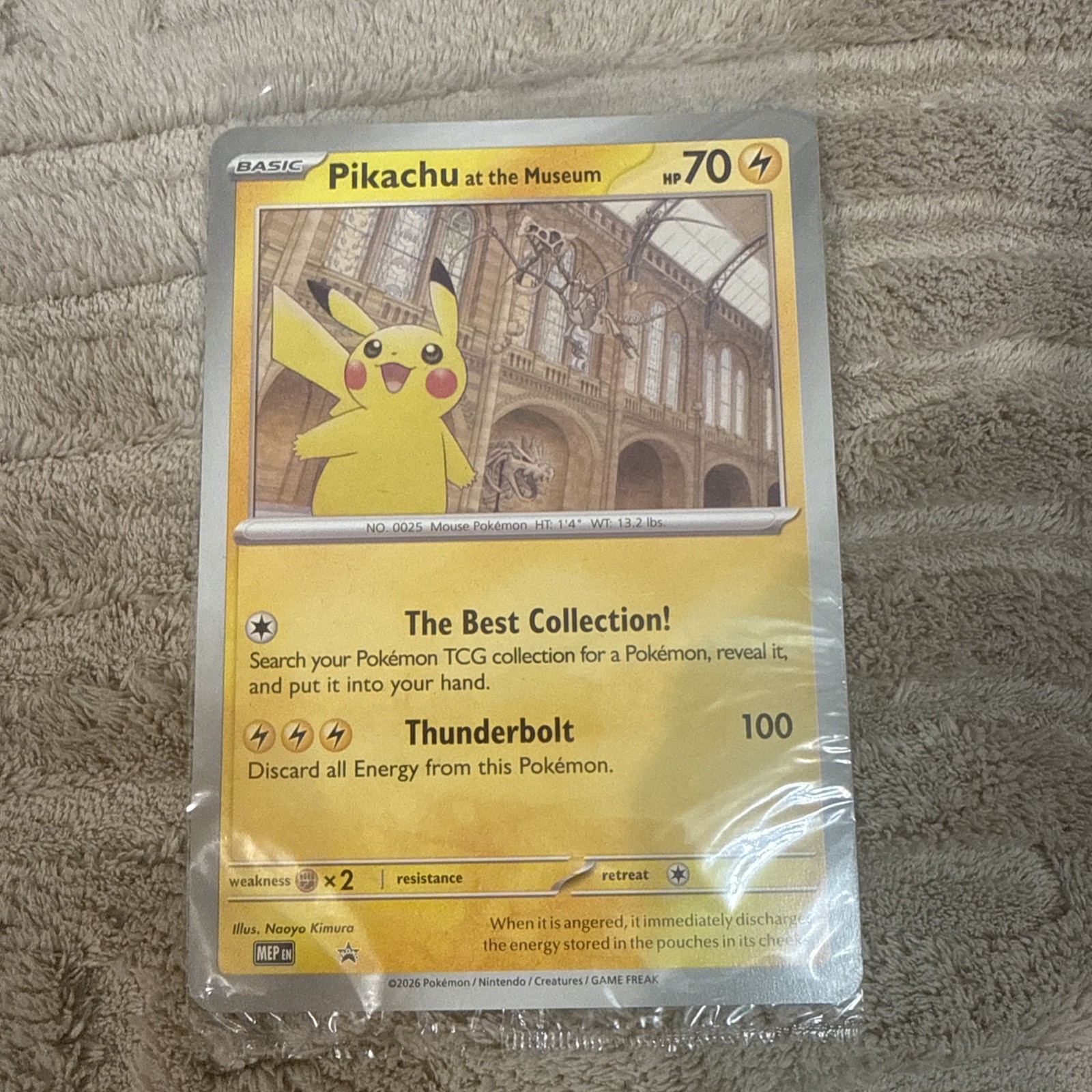 Pikachu At The Museum Jumbo Sealed Pikachu At The Museum Jumbo Sealed
