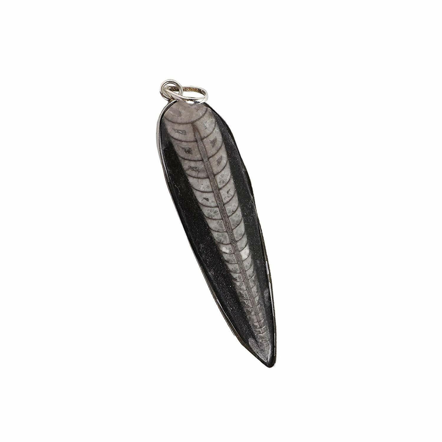 Kuber Crystal Orthoceras Charged Stone Finance Pendant for Men and Women 2.5" Kuber Crystal Orthoceras Charged Stone Finance Pendant for Men and Women 2.5"