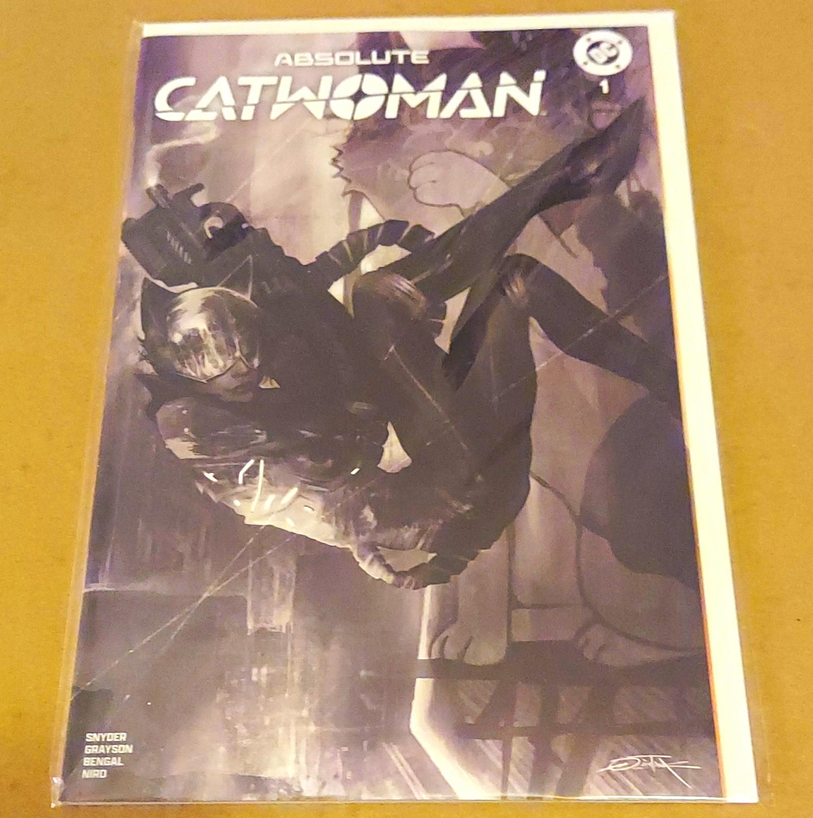 DC Absolute Catwoman #1 Catwoman B&W Unmasked Variant Cover by Dan Quintana DC Absolute Catwoman #1 Catwoman B&W Unmasked Variant Cover by Dan Quintana