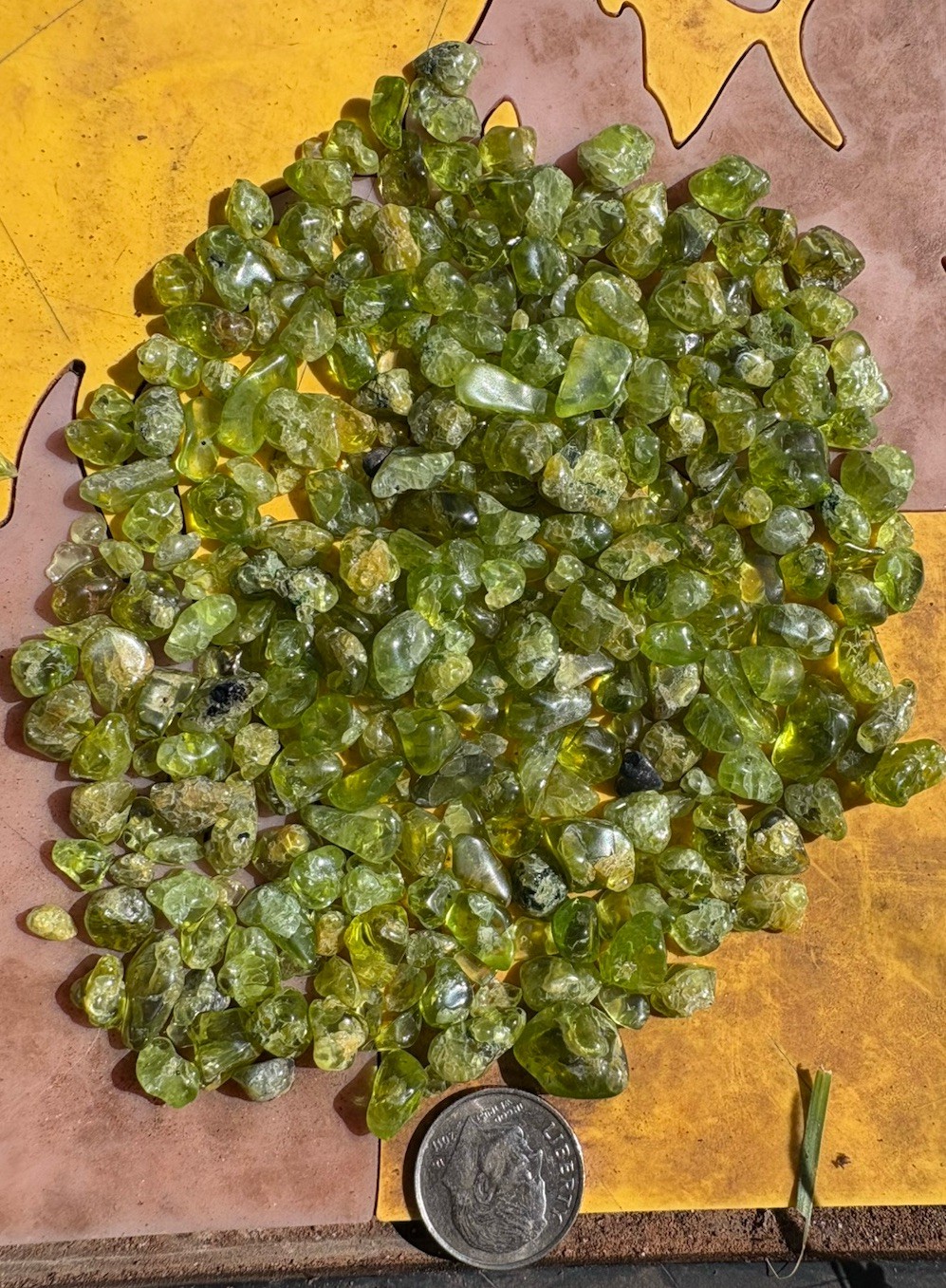 ☘️RR⛏️: Tumble Polished Peridot Crystals, Over 3 Oz. San Carlos Az 🌵 ☘️RR⛏️: Tumble Polished Peridot Crystals, Over 3 Oz. San Carlos Az 🌵