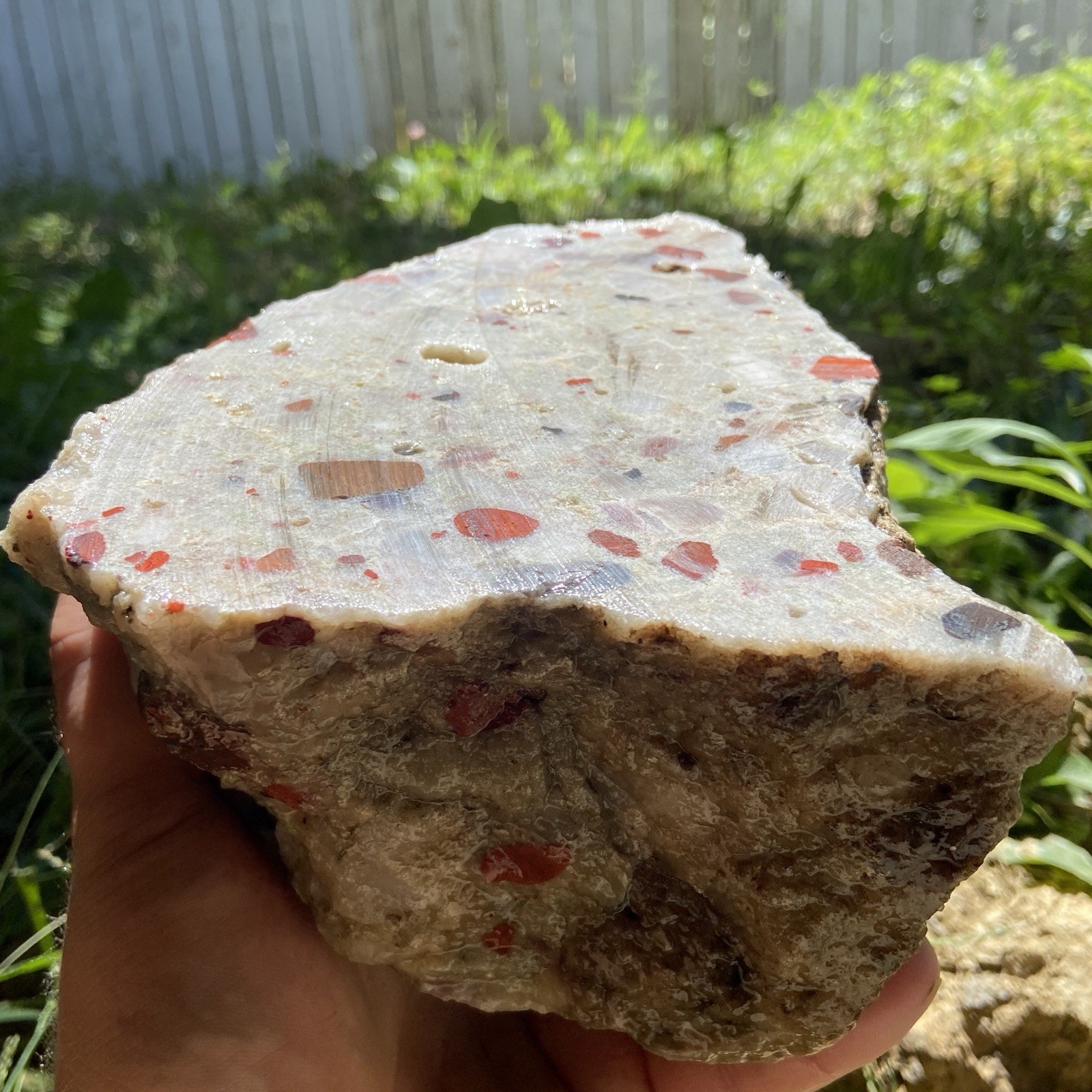 8 Pounds Large Puddingstone Michigan Lapidary Rough Stone 8 Pounds Large Puddingstone Michigan Lapidary Rough Stone