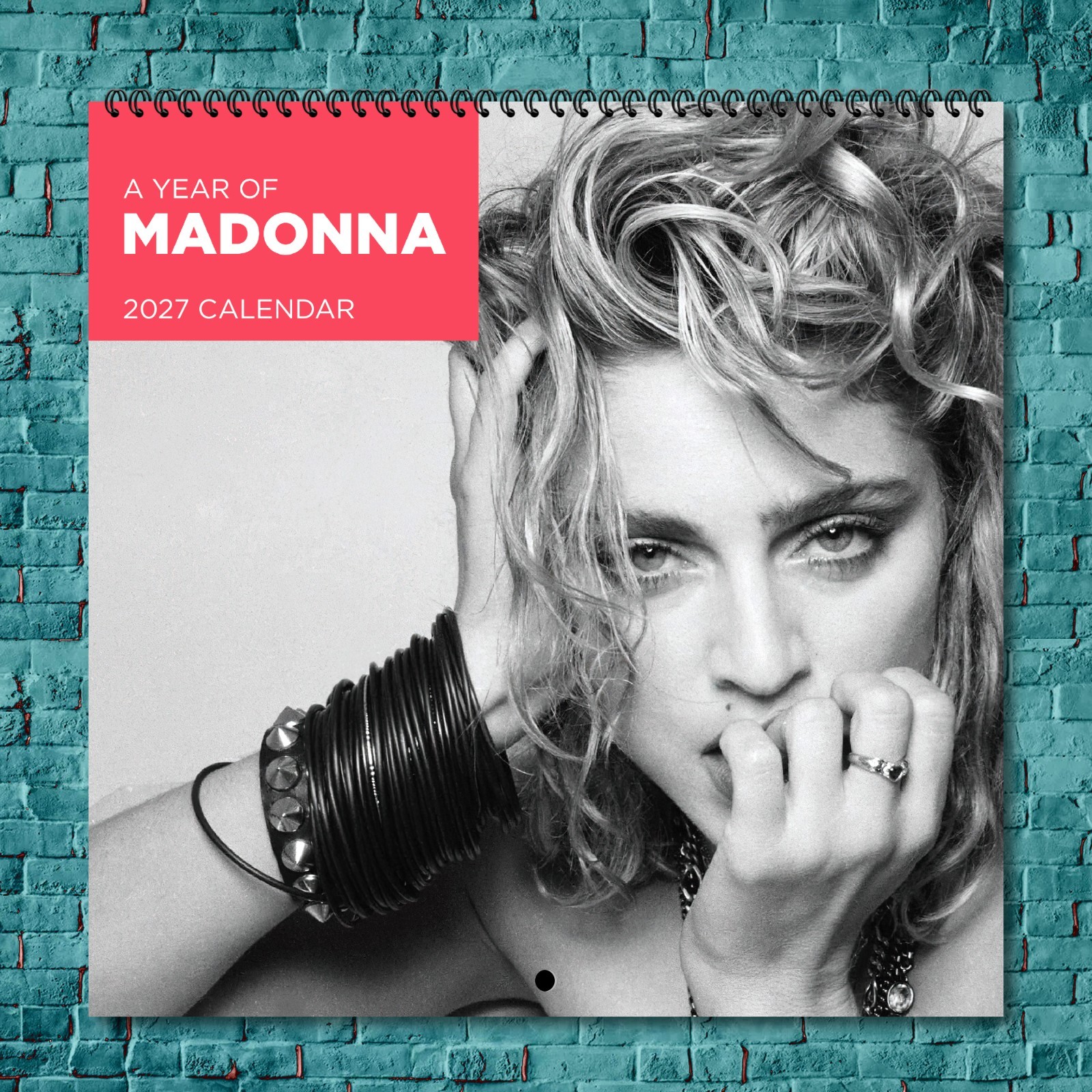 Madonna 2027 Wall Calendar 12 Month Celebrity Photo Fan Collectible Madonna 2027 Wall Calendar 12 Month Celebrity Photo Fan Collectible