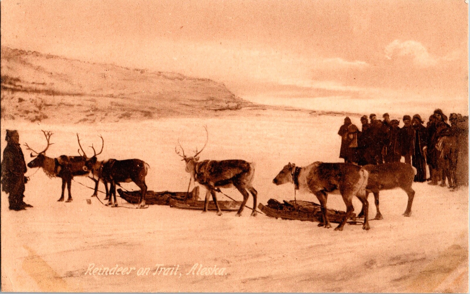 Vintage Inuit People & Reindeers on Alaska Trail Real Photo Postcard (RARE) Vintage Inuit People & Reindeers on Alaska Trail Real Photo Postcard (RARE)