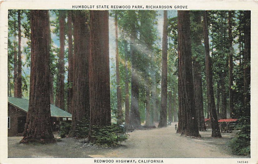 Postcard CA: Richardson Grove Redwood Hwy, Humboldt SP, California Postcard CA: Richardson Grove Redwood Hwy, Humboldt SP, California