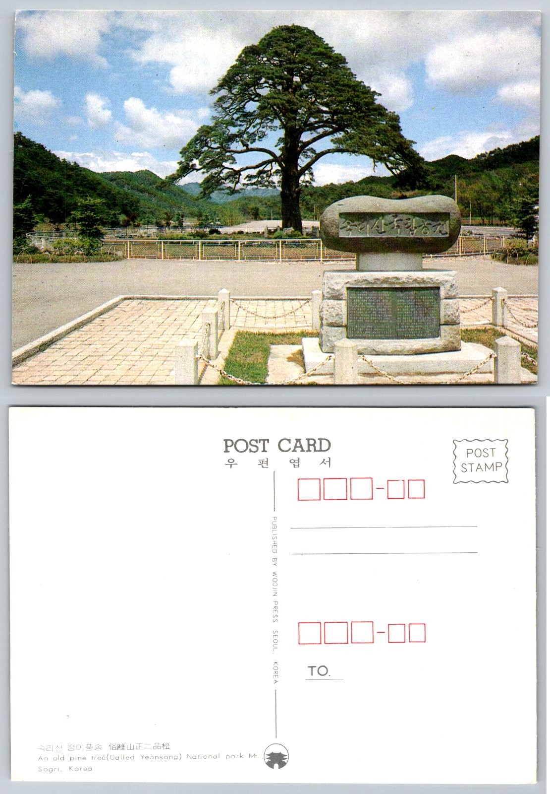 Continental Mt. Sogri Korea Old Pine Tree Monument Postcard Continental Mt. Sogri Korea Old Pine Tree Monument Postcard
