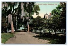 1914 On Barton Avenue Trees Scene Rockledge Florida FL Posted Vintage Postcard picture