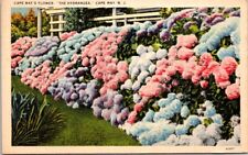 Cape May NJ New Jersey The Hydrangea c1938 Vintage Postcard picture