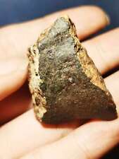 56g Hammadah al Hamra 346/HaH 346/Ghadamis Meteorite(L6)Fusion Crust from Libya picture