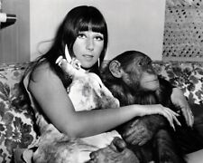 Cher poses with monkey chimpanzee & unicorn 1967 Good Times 11x17 inch poster picture