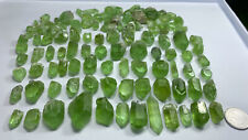 335 Gm High Quality Natural Color Terminated Peridot Crystals Lot From@Pakistan picture