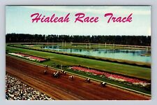 Hialeah FL-Florida, Down The Stretch, Race Track, Antique, Vintage Postcard picture