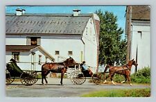 Amish Country, Horse & Buggy, Farm Buildings Vintage Pennsylvania c1963 Postcard picture