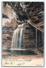 1906 Eagle Cliff Falls Havana Glen New York NY Weguetonsing MI Postcard picture