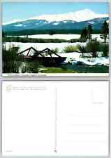 Vintage Postcard - Mount Elbert, historic bridge, Leadville, Leadville, Colorado picture