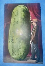 Vintage California Postcard - This is How Watermelons Grow in California picture