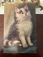 Artist Signed M Babington Postcard No 324, Fluffy Longhair Cat, Alma Publishing picture