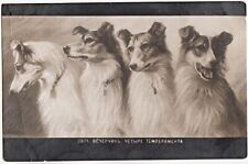 1914 RUSSIA Four Temperaments in 4 Spirits of the DOG Photo Postcard picture