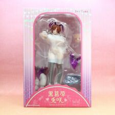 Usaki Tsuzuhara 10.8in 1/6 Scale Anime Figure PVC Statue Michiking SkyTube Japan picture