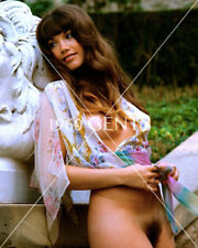 1960s Photo Print Big Breasts Brunette Playboy Playmate Barbi Benton BB5 picture