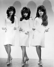 Ronnie Spector The Ronettes Classic Girl Band Picture Poster Photo Print 13x19 picture