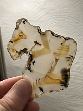 Beautiful Old Stock Montana Moss Agate Slab Grandpa’s collection 1960’s picture
