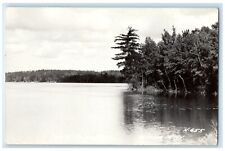 c1940's View Of West Twin Lake Nisswa Minnesota MN RPPC Photo Vintage Postcard picture