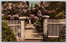 Entrance to Garden the Hermitage Nashville TN Hand Colored Vintage Postcard picture