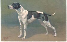 Rivet Pointer Dog Portrait Artist Signed 1910 A/S  picture