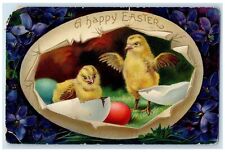 1915 Easter Hatched Egg Chicks Flowers Agricola Kansas KS Embossed Postcard picture