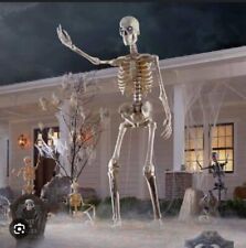 12ft Giant Skeleton With Animated Eyes Halloween Home Depot NJ & LED Light Kit picture