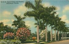 Hollywood Beach Royal Palms and Flowers Florida FL Postcard picture