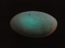 Phosphorescent Ye Ming Zhu Glow In The Dark Polished Specimen Gemstone Rock picture