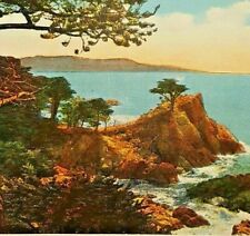 Vintage Monterey Ca. Postcard Midway Point 17 Mile Drive Linen Post Card picture