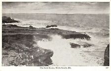 Vintage Postcard The Bold Rocks Tourist Attraction Wells Beach Maine ME picture