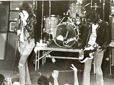 The Ramones 1980 Concert Double Weight Original 8x10 Professional Photo LA Punk picture