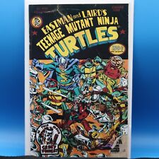 Teenage Mutant Ninja Turtles #15-🗝️Cover Art Intentionally Appears Damaged-VF+ picture