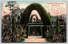 Hotel Del Monte Maze, Monterey, California Vintage Postcard picture