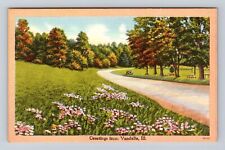 Vandalia IL-Illinois, Scenic Road General Greetings, Antique, Vintage Postcard picture