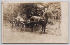 RPPC Lovely Edwardian Family in Horse Drawn Carriage Postcard B26 picture